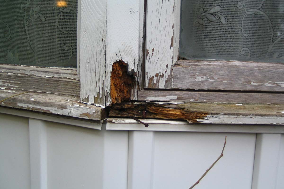 Defect Pics from inspections
